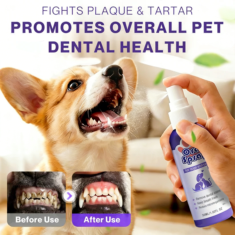 Zussuz™ Advanced Pet Oral Spray | Instant Fresh Breath, Target Tartar & Support Healthy Gums 🦷✨